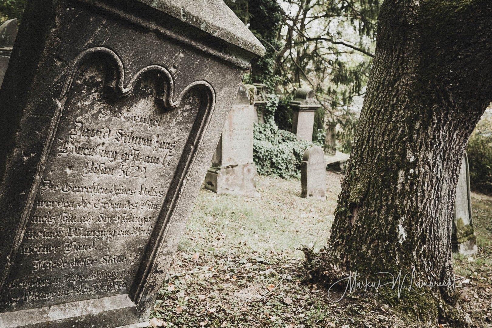 Rimbeck, Jüdischer Friedhof